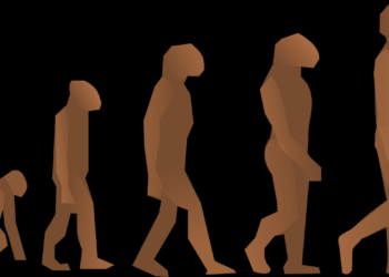 Immunity: Defense and Future of Vaccines