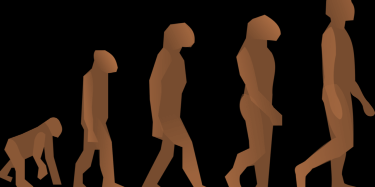 Immunity: Defense and Future of Vaccines