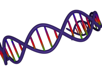 Regenerative Medicine: Organs for Life