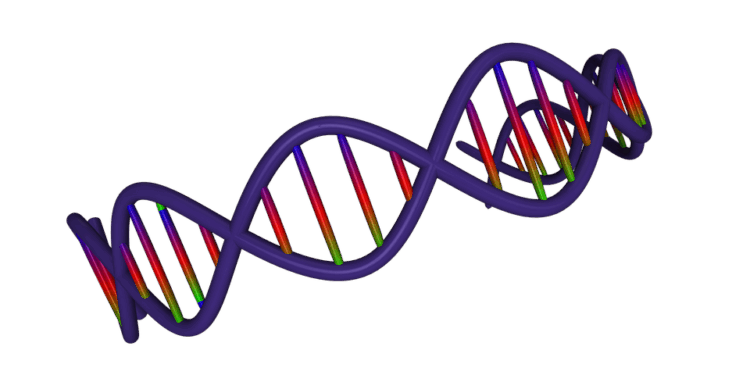 Regenerative Medicine: Organs for Life