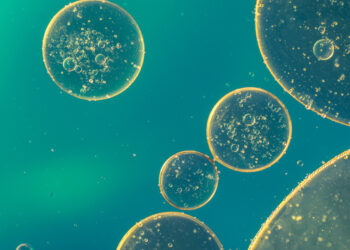 Life’s Blueprint: Developmental Biology Mysteries