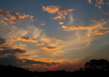Cosmic Engines: Black Holes and Neutron Stars