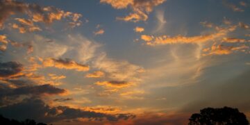 Cosmic Engines: Black Holes and Neutron Stars