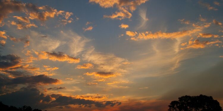 Cosmic Engines: Black Holes and Neutron Stars